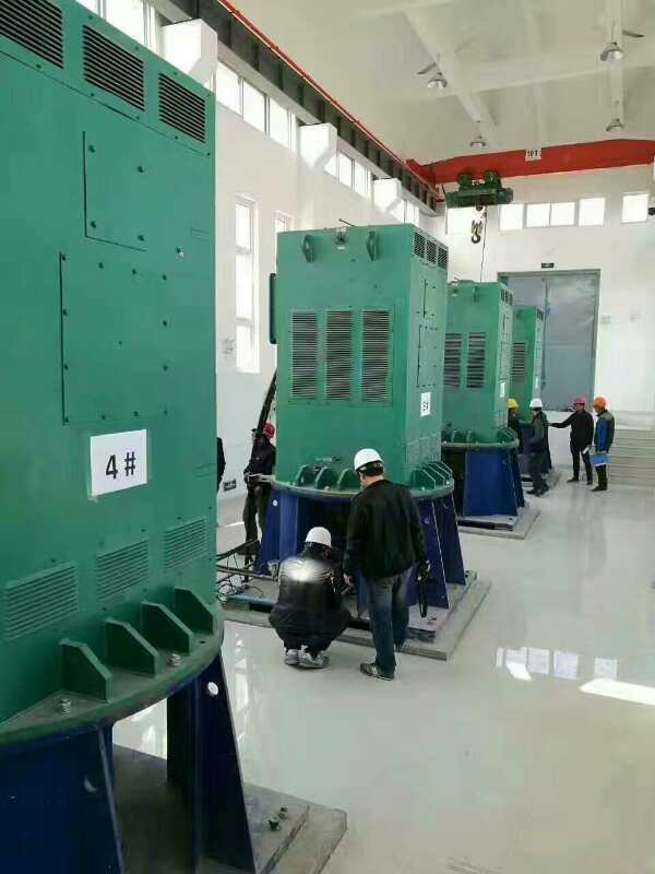 简阳某污水处理厂使用我厂的立式高压电机安装现场